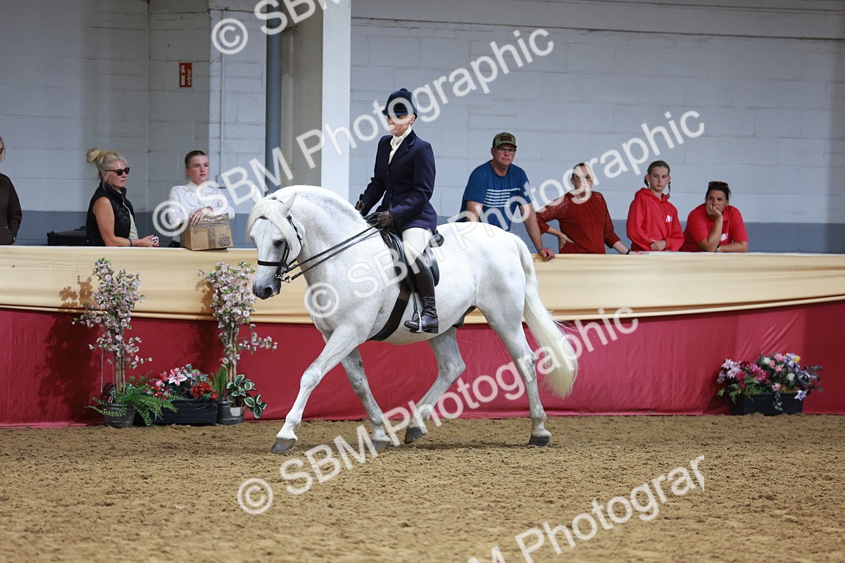 SBM_18648 - Class 952 - M&M Ridden Supreme Final