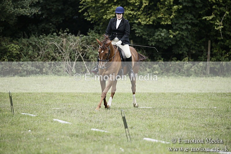 BVR090918 126 - BVRC Dressage and Show Jumping 09/09/18