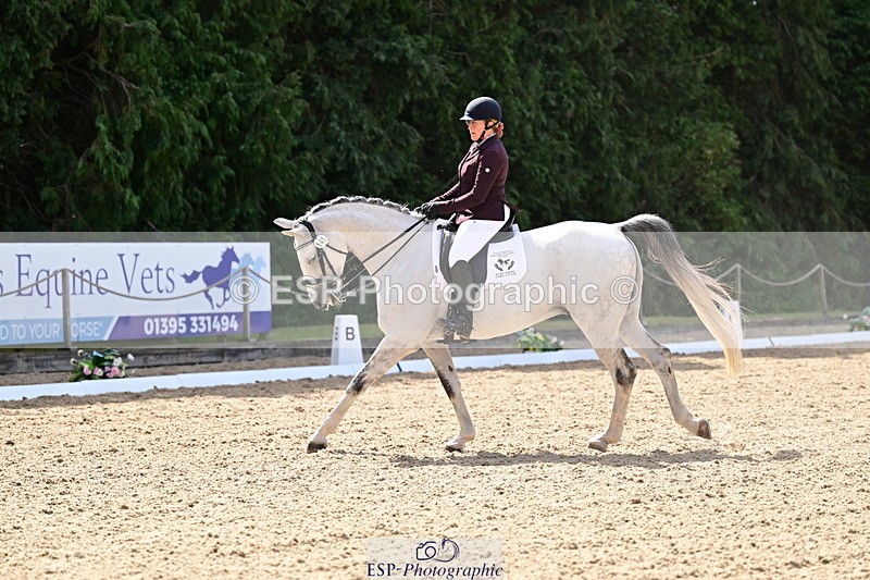 260731A-105330-00141 - Elementary Bronze 10.30 - Break