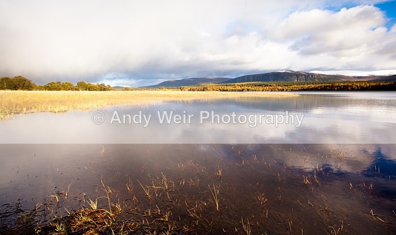 20101024-2924 - Scotland
