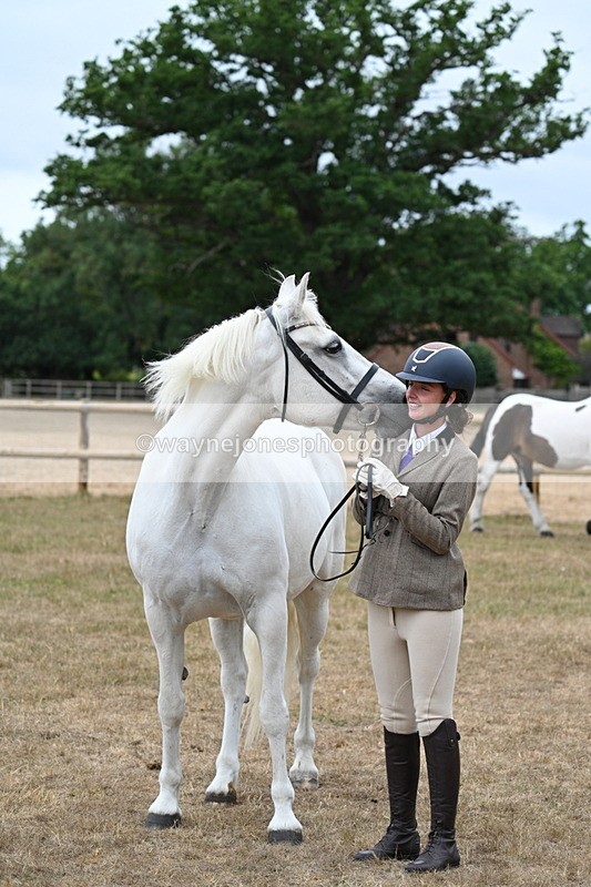 WJ7_9130 - Class 4a Prettiest Mare 14.2hh and over