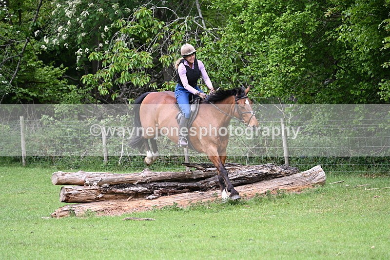 WJ7_2348 - Group 4 A&B Cameras