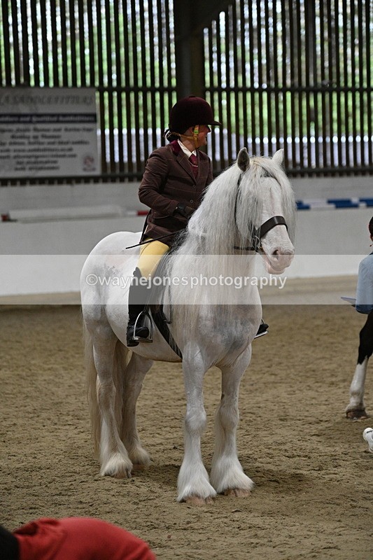 WJ7_4354 - Class 17 Ridden Cob