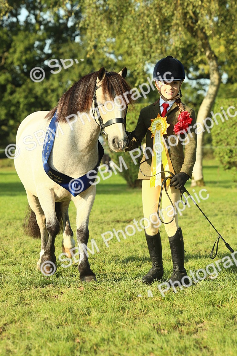 SBM_58475 - S37 - Starters In Hand Showing