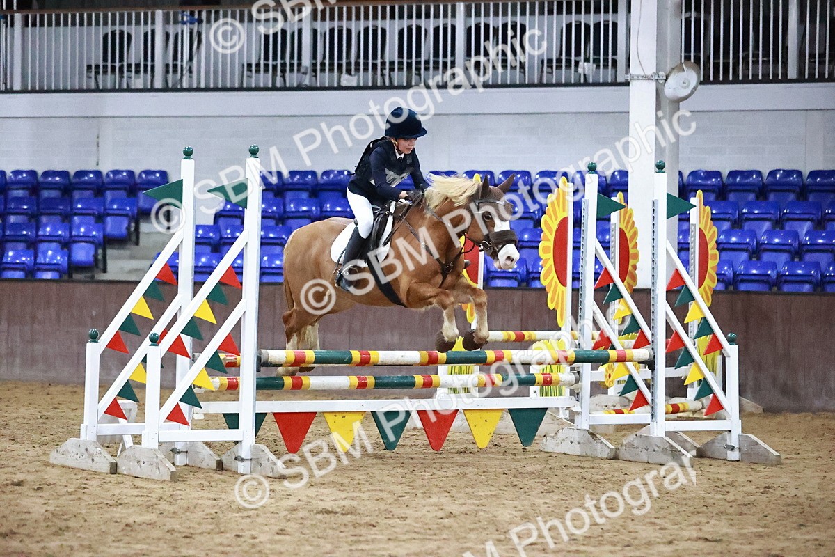 SBM_002314 - Class 5 - 80cm