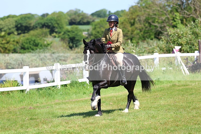 3E7A6756 - Working Hunter Pony Championship