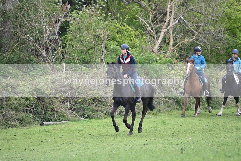 WJ6_2923 - A Camera