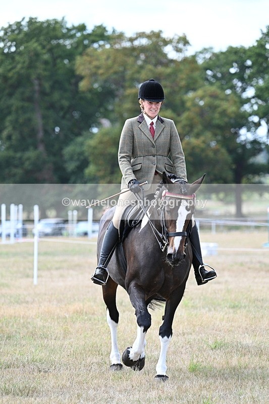 WJ7_5914 - Class 13 Ridden Veterans