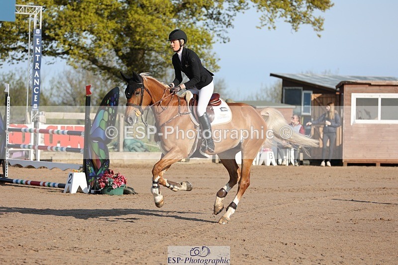 250427-083104-14504 - Cls 28 Young Horse 5yr old