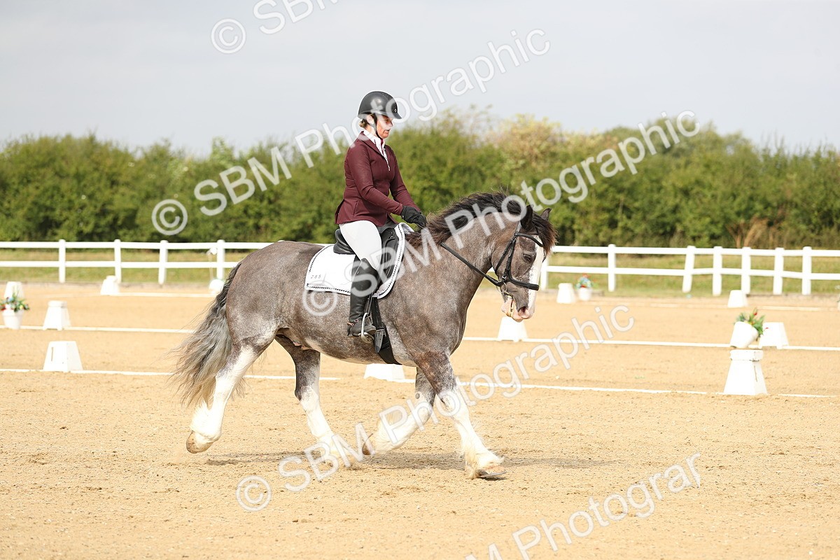 SBM_017302 - Class 13 - Novice 23 - 13.31-14.13