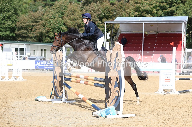 3E7A9170 - Class 9: Senior British Novice/90cm open