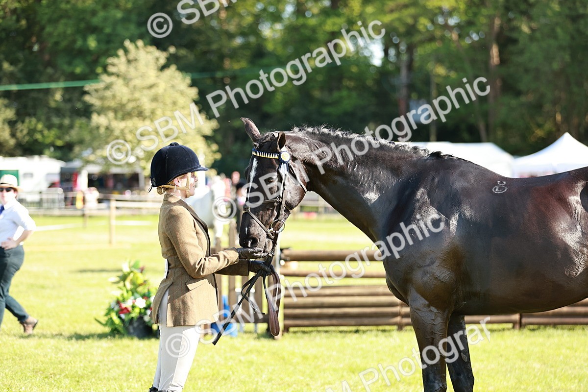 SBM_19296 - Class 115-116 - LIHS BSHA Rising Star Working Hunter & Show Horse