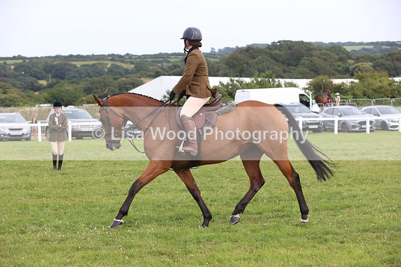 JPP_4115 - Class 24: Working Hunter 90cm