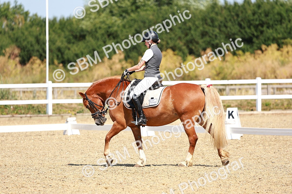 SBM_009797 - Elementary 5 - 9.38-10.58
