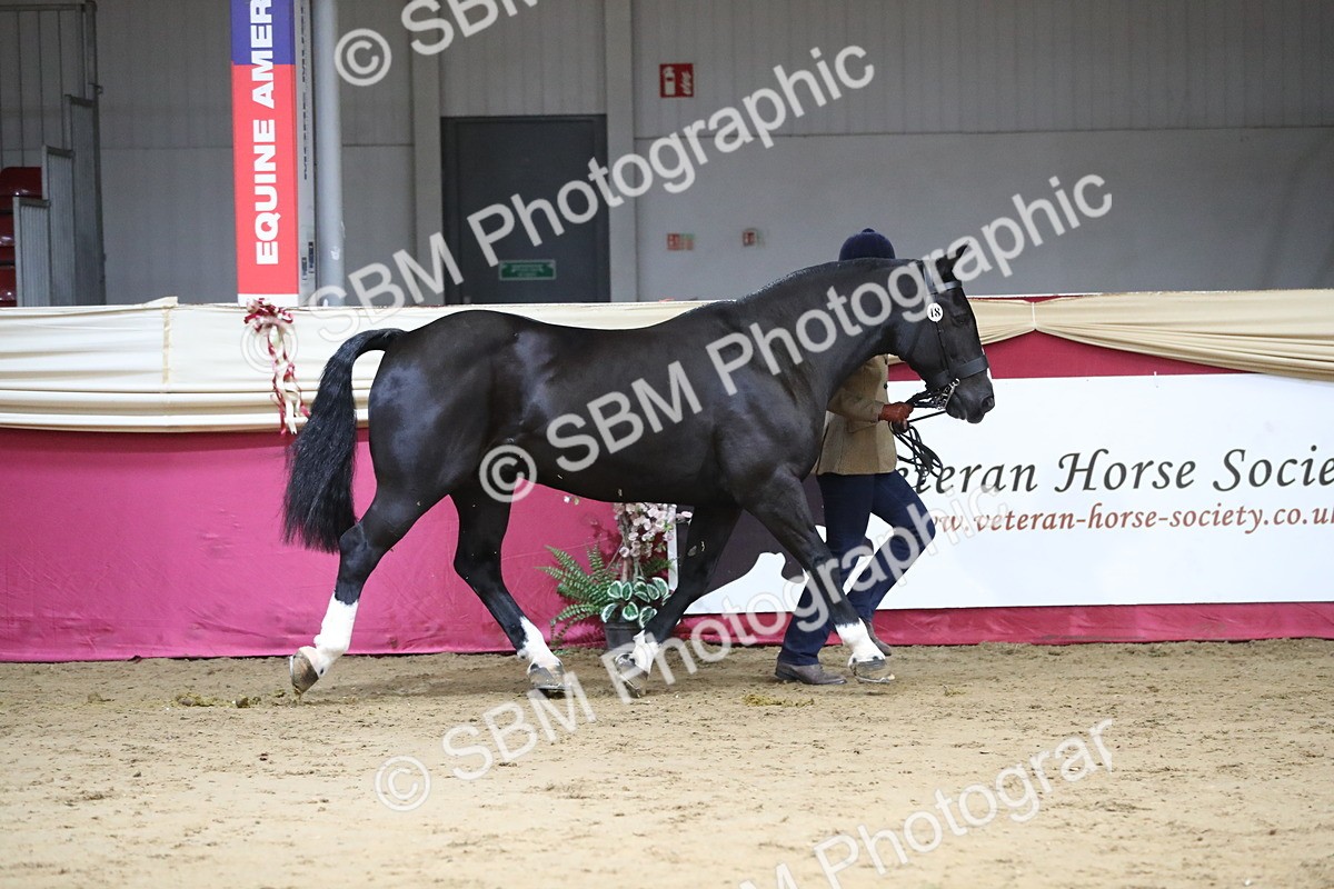 SBM_06325 - Class 9R Regional- IH Pre Vet