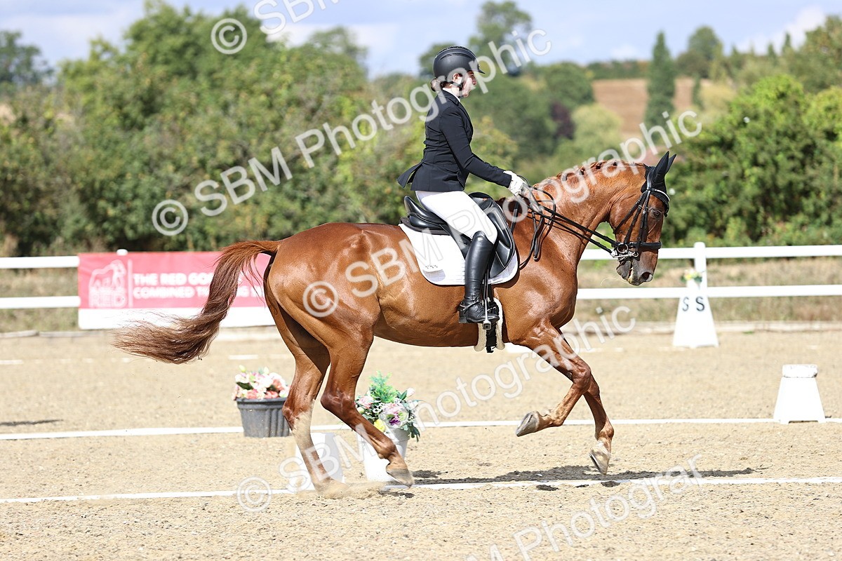 SBM_015258 - Class 5 - E5 Bronze 14.42.15.54