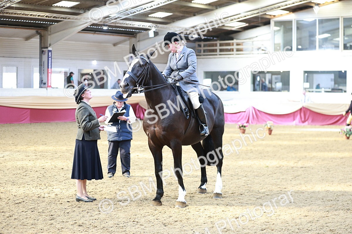 SBM_08302 - Class 11R - Regional Ridden Veteran