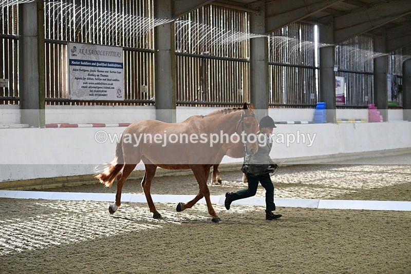 WJ5_3620 - Class 5 In Hand Veterans