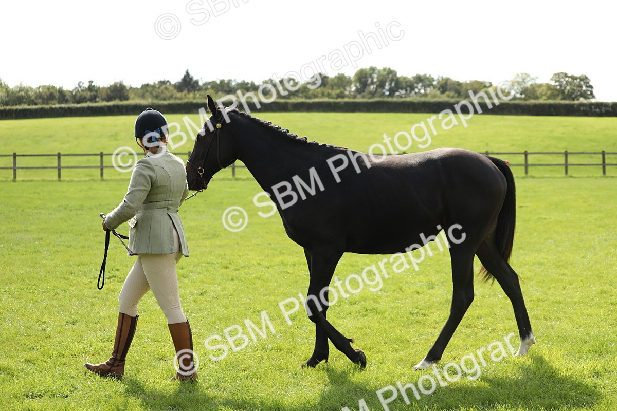 SBM_65605 - S48 - Show Pony & Show Hunter Pony In Hand