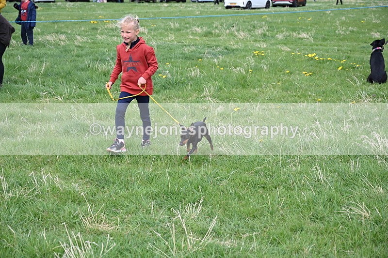 WJ6_8120 - Class 2 Best Pedigree