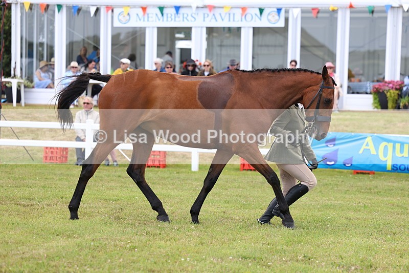 3E7A1768 - Class 9: Open Hunter