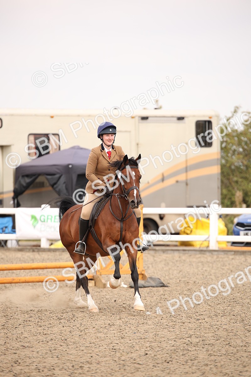 SBM_12243 - Class 405a - M&M Working Veteran 50cm (15-19)