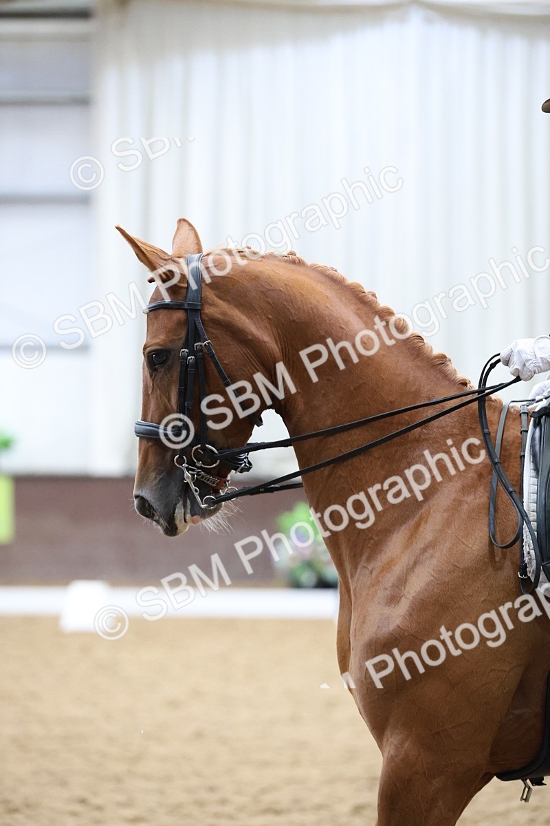 SBM_006757 - Class 22 - Medium 5 Silver