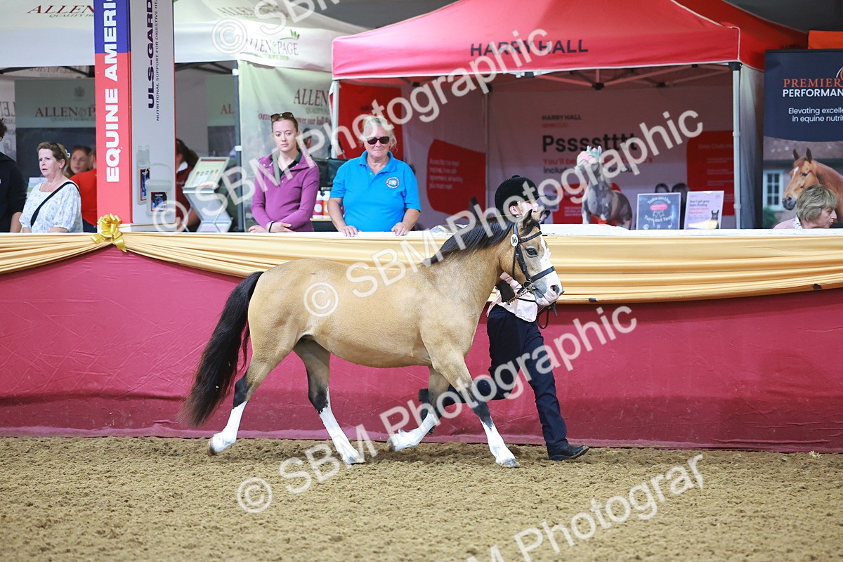 SBM_14678 - Class B - Junior Champ 11 to 16 Years