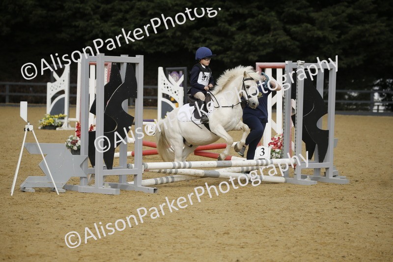 20250622-1309 - 40cm