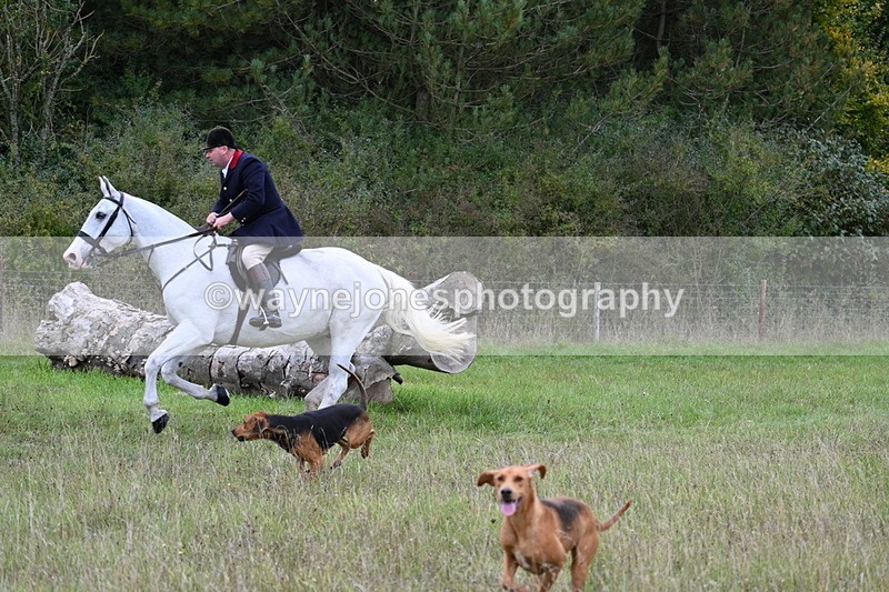 WJ7_3575 - Camera 1 Line 1