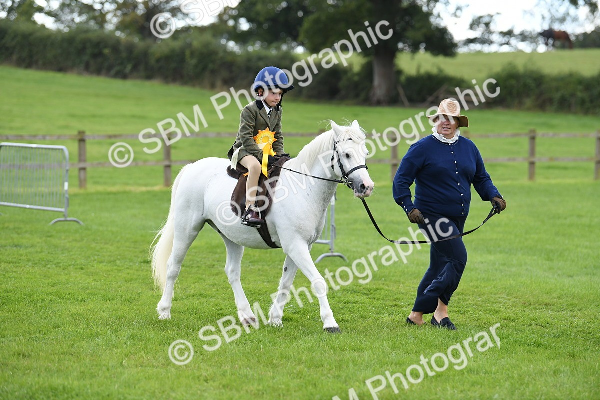 SBM_42714 - S20 - Lead Rein Mountain & Moorland Pony
