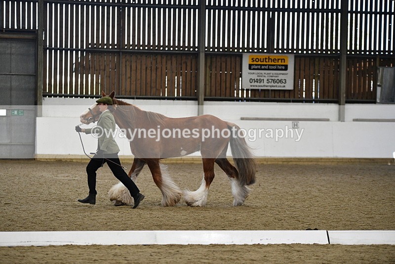 WJ5_5394 - Class 8 In hand cob