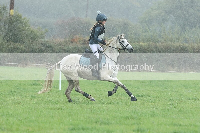 JPP_5034 - Class 1: 65cm : Showjumping