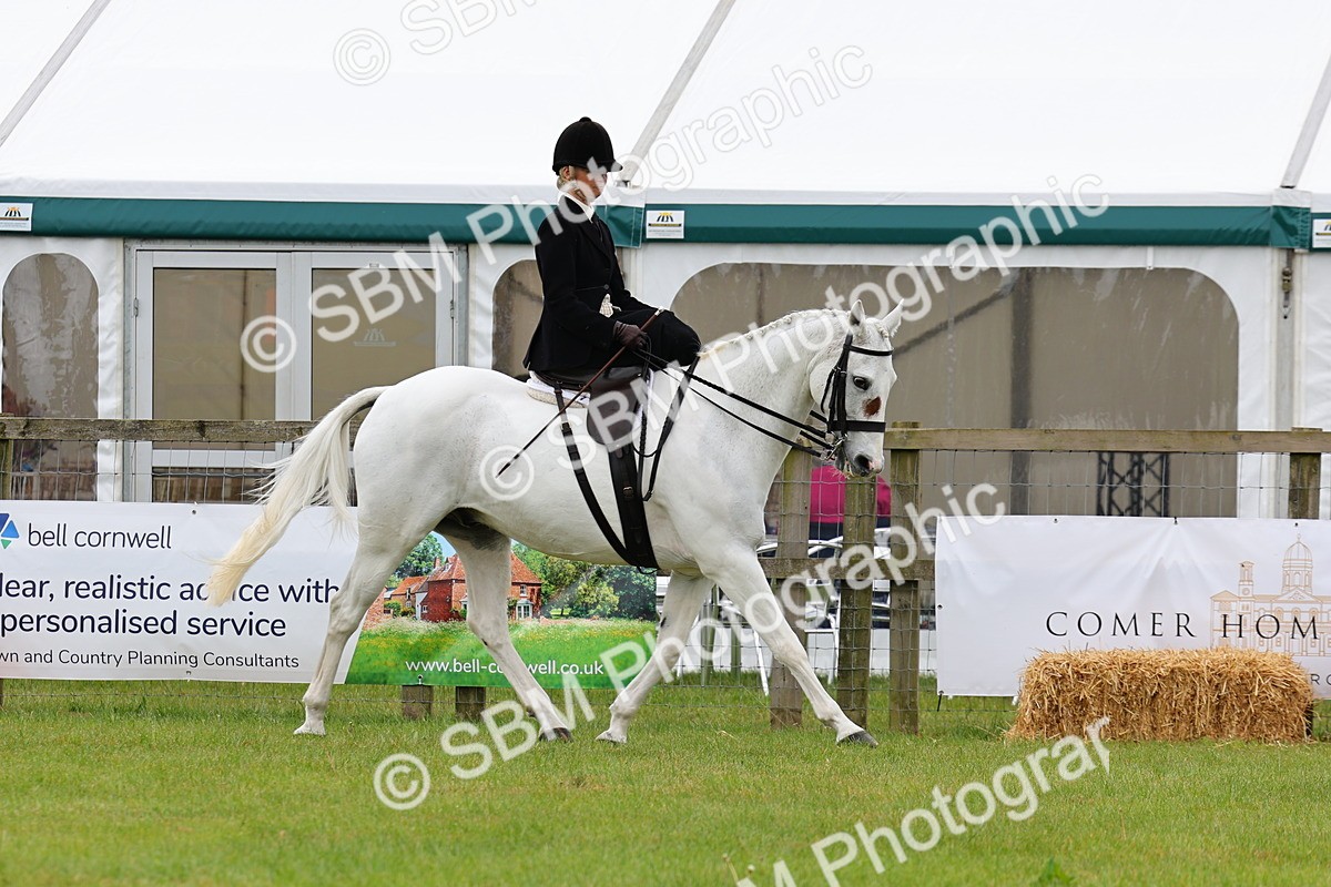 SBM_02962 - Class 9-11 Side Saddle including LIHS Rising Star Ladies Show Horse