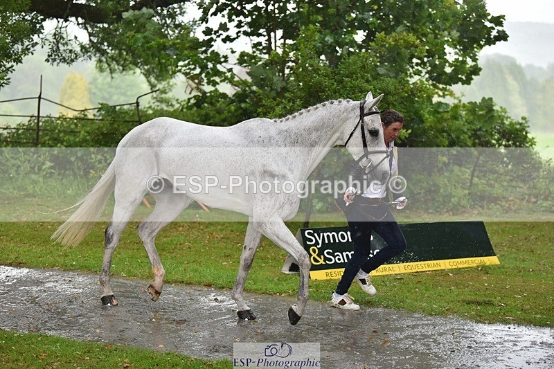 240522-151718-00225 - 317-FILIPO-Piggy_March