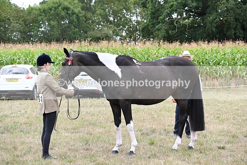 WJ6_5629 - Class 18 In-hand Coloured