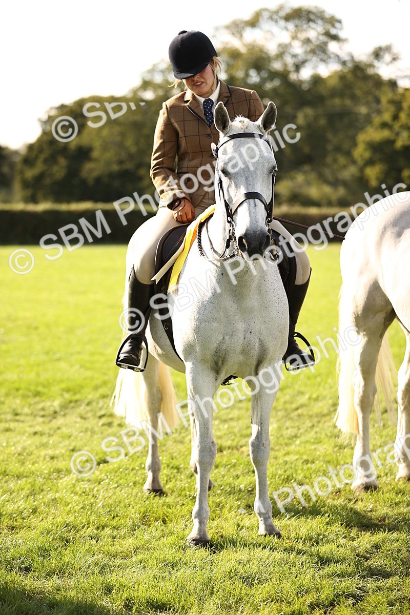 SBM_26496 - S6 - Novice & Newcomers Ridden Horse
