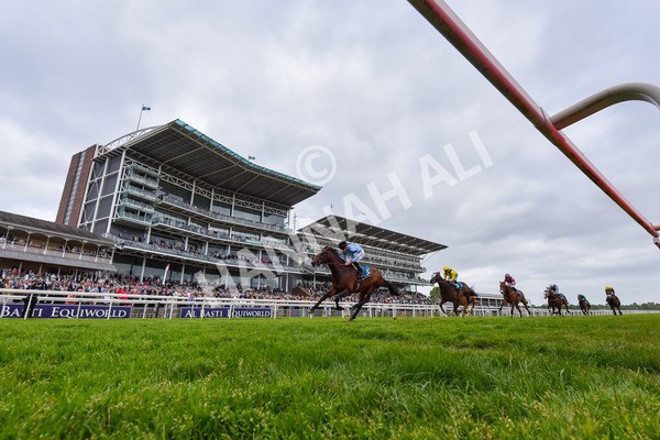 150525-Merchant-2513 - Race 7 5.25pm Haxby Handicap
