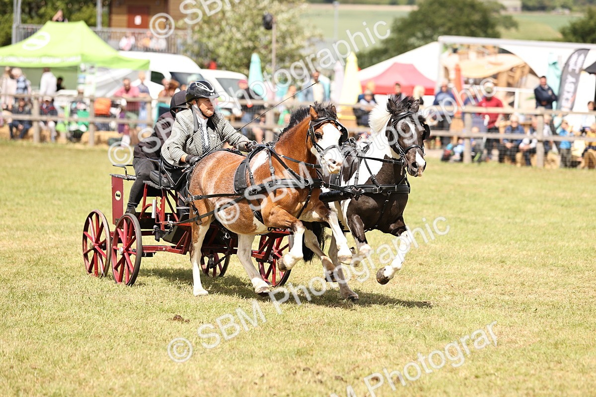 SBM_16044 - Class 91 - Scurry  exceeding 122cms