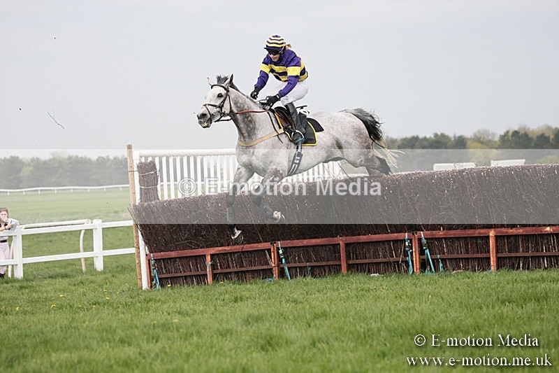 PtP 210418 286 - South & West Wilts Point-to-Point Larkhill 21/04/18