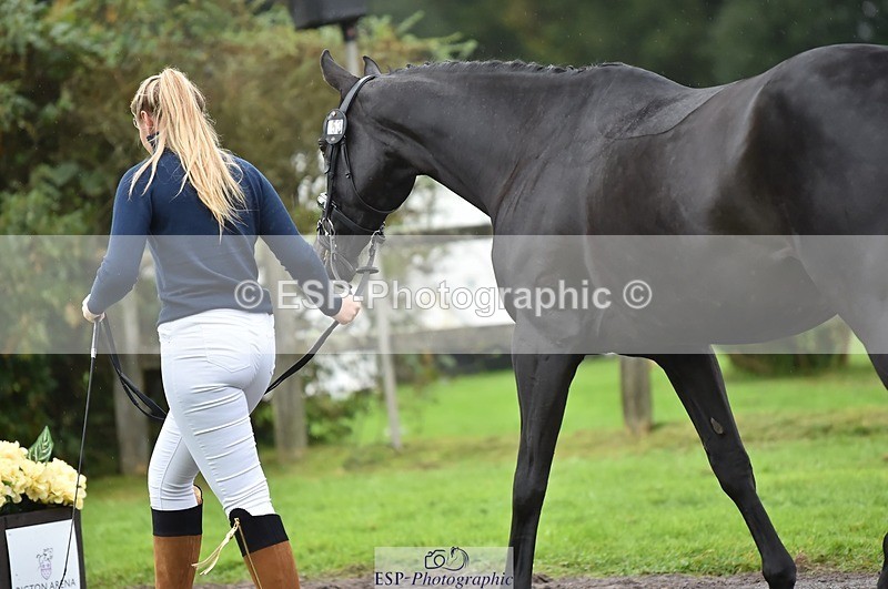 231018-124002-00437 - 053-WISHING.TIME-Holly.Law-TrotUp