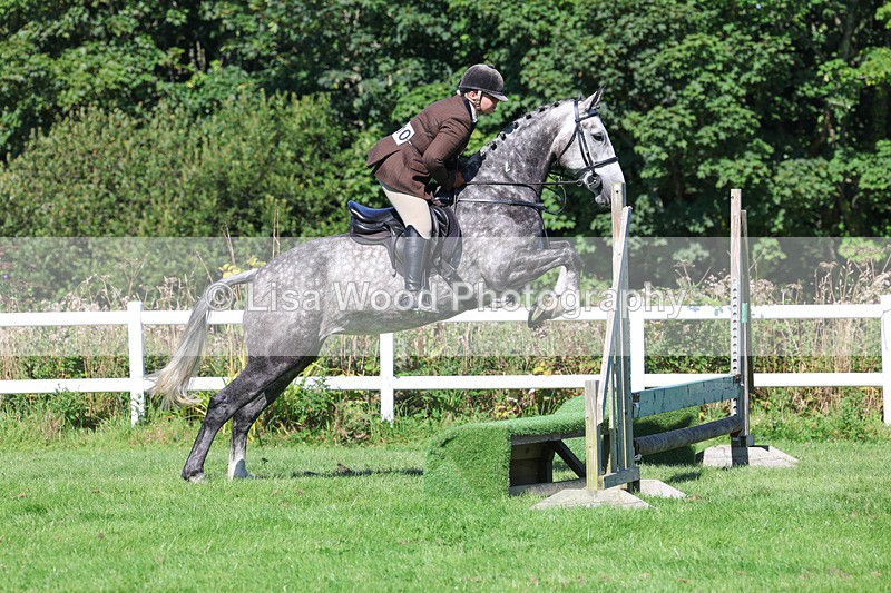 3E7A8280 - Class 4: Novice working Hunter