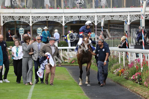 yr23072022r3-42 - Race 3 3.15pm Sky Bet York Stakes