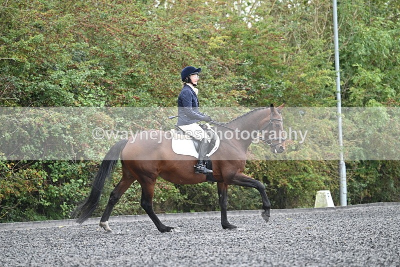 WJ7_4109 - Time 11:43 to 12:09