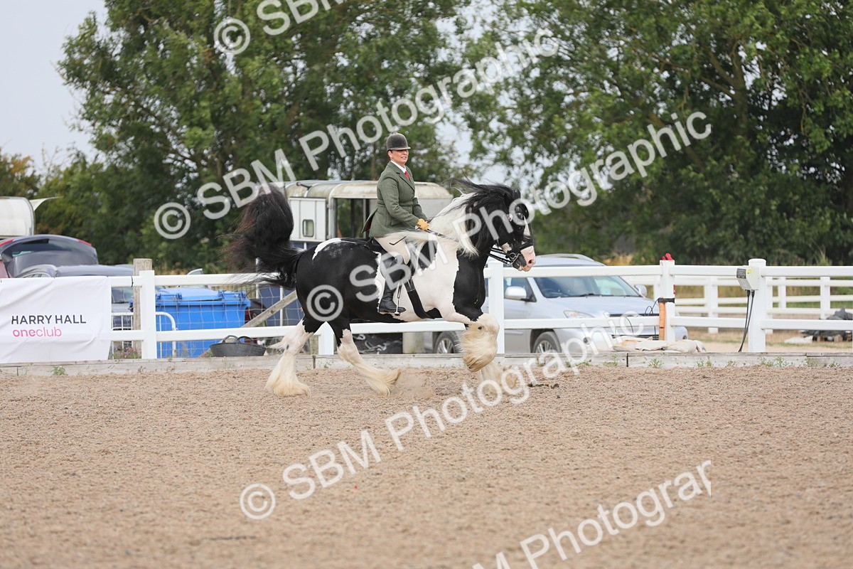 SBM_12685 - Class 307 Ridden Coloured Pony