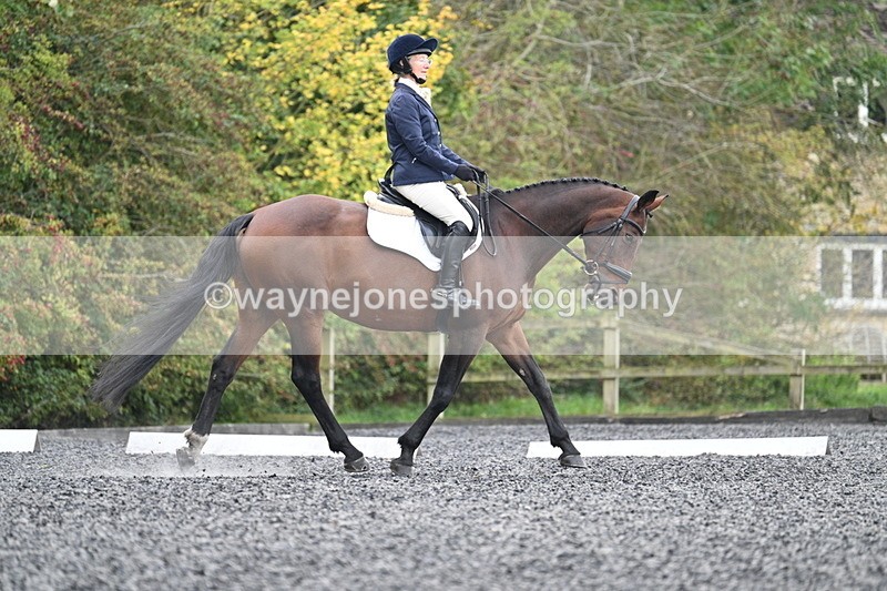 WJ7_4056 - Time 11:43 to 12:09