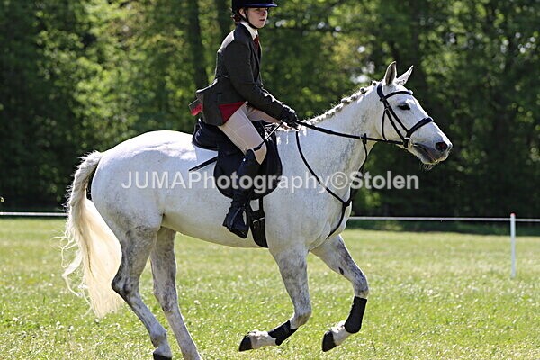 IMG_3539 - Working Hunter