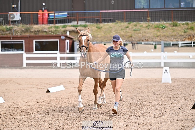 250716-132813-00538 - Trot Up 12.30 to 1.30