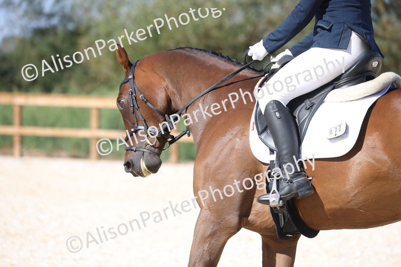 20260905-1484 - Class 5 - Novice 2