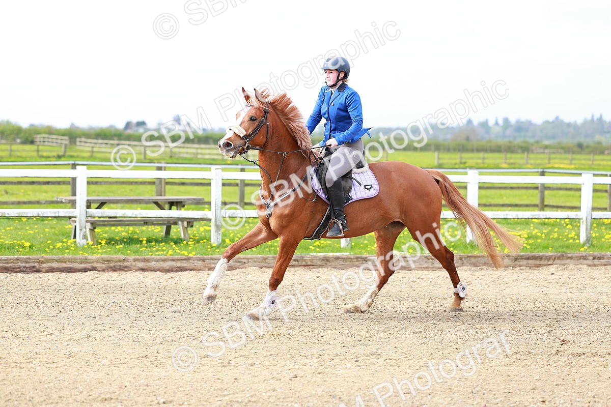 SBM_001693 - Class 7 - Clear Round